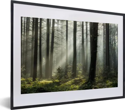 Produktbild von MuchoWow® MuchoWow® Gerahmtes Poster Wald - Pflanzen - Nebel 40x30 cm - Poster mit zchwarzem Bilderrahmen - Bilderrahmen - Poster im Rahmen