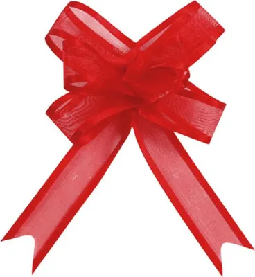 Immagine prodotto di Decorazione da tavola festosa mini fiocchi 5 pezzi rossi - taglia unica