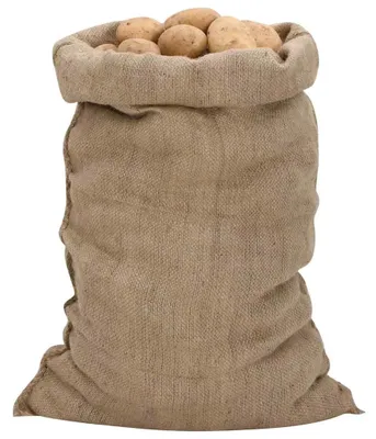 Produktbild von vidaXL Jutesäcke 30 Stk. 60x105 cm 100% Jute 340 g/m²