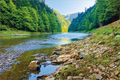 Produktbild von Wallario selbstklebendes Poster - Fluss in den Bergen an steinigem Ufer, Größe: 61 x 91,50 cm