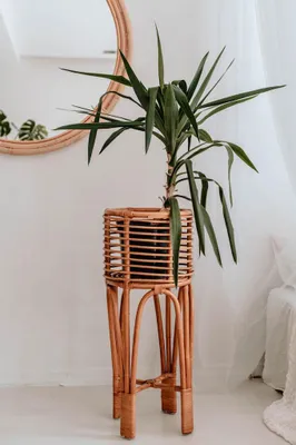 Productafbeelding van Plantenstandaard Pollie L, karamelkleur, boho-stijl, rieten design