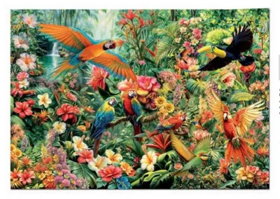 Image de Puzzle Educa « Les oiseaux », 2000 pièces