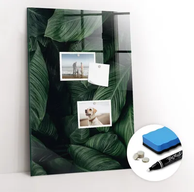 Produktbild von Magnetpinnwand Memoboard - Zubehörsatz - Weißer Marker + Schwamm + Magnete - 40 x 60 cm - Dschungelpflanzenblätter