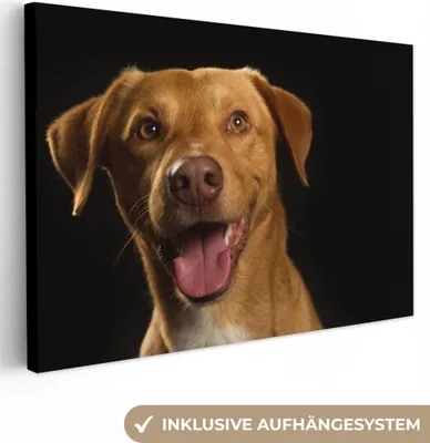 Produktbild von OneMillionCanvasses® - Leinwandbilder - 140x90 cm, Hund - Haustiere - Porträt, Wandbilder Kunstdruck Wanddekoration