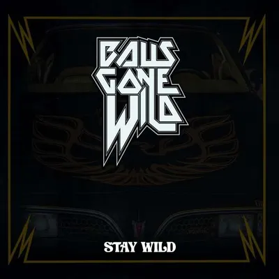 Produktbild von Stay Wild (CD Digipak)