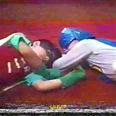 Image de Pourquoi ? - Vinyle AOKOHIO