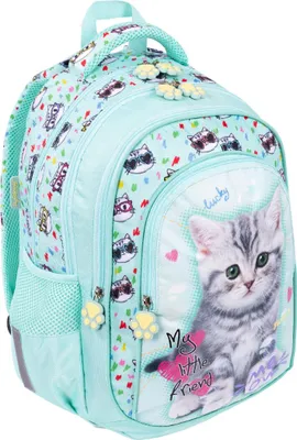 Zdjęcie produktu dla Plecak 4 komorowy BPL58 My Little Friend MINT KITTY Majewski