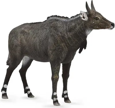 Image de Antilope Nilgai L - Figurine animalière