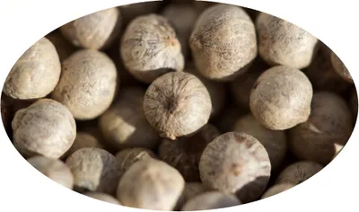 Image de Eder Gewürze - Poivre Blanc Fuméen Grains - 1 kg