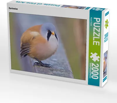 Produktbild von CALVENDO Puzzle Bartmeise 2000 Teile Puzzle quer | 2000 Teile Lege-Größe 90x67cm Foto-Puzzle für glückliche Stunden