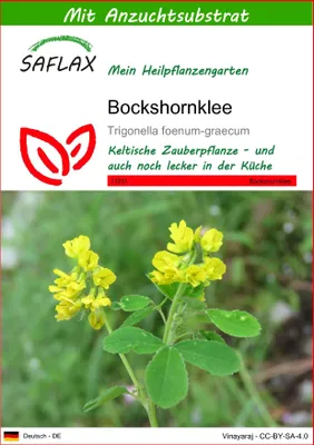 Produktbild von SAFLAX  - Bockshornklee - Trigonella foenum-graecum - 100 Samen - Mit keimfreiem Anzuchtsubstrat
