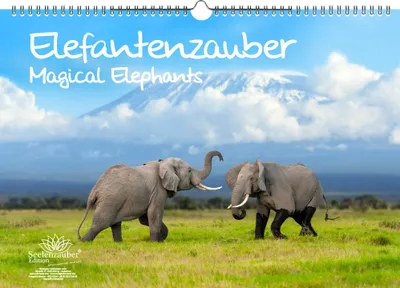 Produktbild von Elefantenzauber DIN A3 Immerwährender Kalender Elefanten - Seelenzauber
