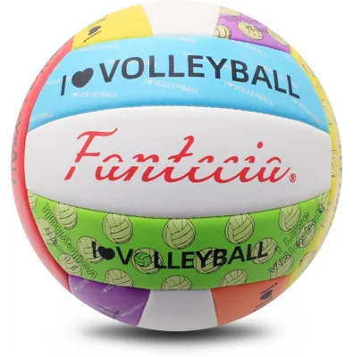 Image de Sécurité aquatique : Volley-ball de plage avec pompe et filet