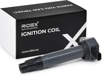 Produktbild von RIDEX 689C0169 Zündspule für FIAT Freemont (345) für JEEP COMPASS (MK49) für DODGE Journey MPV