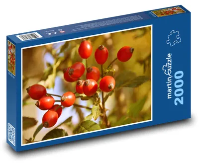 Produktbild von martinpuzzle - Puzzle 2000 Teile - Hagebuttenbusch