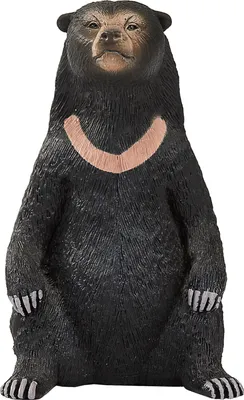 Zdjęcie produktu dla Legler Animal Planet Malay Bear, zabawka, od 3 lat, 387173