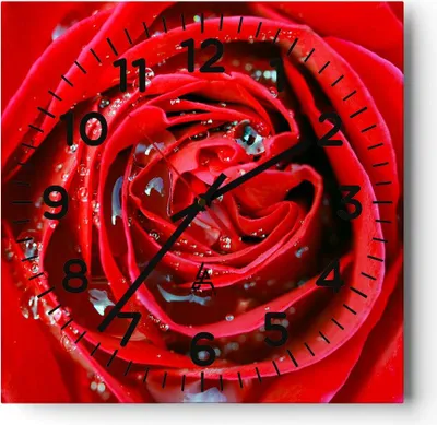 Produktbild von Wanduhr - Quadrat - Glasuhr - Rose Blume Blütenblätter Tau - 40x40cm - Schleichendes Uhrwerk - Lautlos - zum Aufhängen bereit - Dekoration Modern - Wanddekoration aus Glas - C4AC40x40-1518