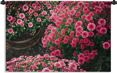 Produktbild von MuchoWow® Wandteppich Wandbehang Blumen - Herbst - Rosa 150x100 cm Tapisserie Dekoration Wandtuch - Waschbar - Tapisserien - Wand-Decke