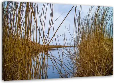 Produktbild von Leinwandbild see natur schilflandschaft 120x80 cm Feeby blau wandbild bereit zum aufhängen