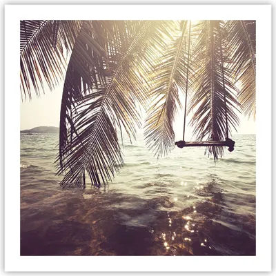 Produktbild von Poster - Poster ohne Rahmen - Meer Palme Wasser - 60x60 cm - Wand Bild - Wanddeko - Wandbilder - Kunstposter - Wandposter - Bilder - Kunstdruck - Wanddekoration - Wandbild - P2XAC60x60-3634
