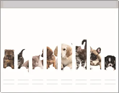 Produktbild von Wallario Ordnerrücken Sticker, selbstklebend für schmale Ordner, 8 Stück, Motiv Hundewelpen und Katzenjunge