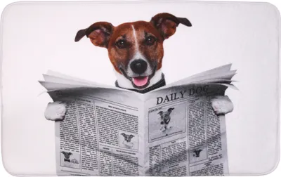 Produktbild von SANILO® Badteppich Newspaper 70 x 110 cm