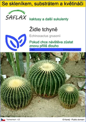 Obrázek produktu pro SAFLAX Kultivační sada - židle tchyně - Echinocactus grusonii - 40 Semena - S mini skleníkem, pěstebním substrátem a 2 květináči