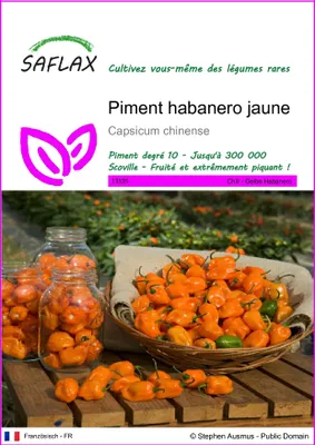 Image de SAFLAX - Piment habanero jaune - 10 graines - Capsicum