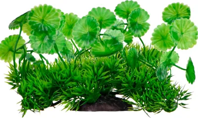 Zdjęcie produktu dla Kruger Meier Plant Meadow - roślinka sztuczna