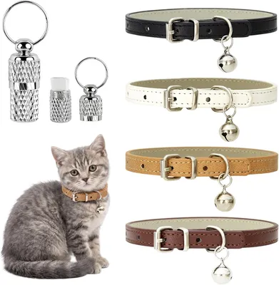 Image de Colliers pour chats, en cuirPolyuréthaneréglable, de 20 à 28 cm, lot de 4, pour chats
