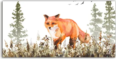 Produktbild von Coloray Spritzschutz aus Glas 120x60  Wandkunst Küchenrückwand kunst Natur Fuchs Wiese Vögel Bäume