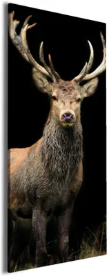 Produktbild von Wallario Premium Leinwandbild Stattlicher Rothirsch in Größe 30 x 75 cm
