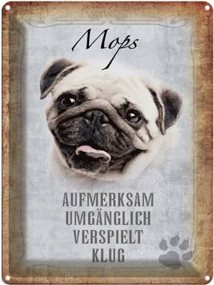 Produktbild von vianmo Blechschild 40x30 cm Mops Hund