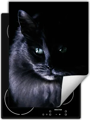 Produktbild von DarHaus Herdabdeckplatte Einteilig Küche Abdeckplatte für Glaskeramikkochfeld Abdeckung Induktionskochfeld Aufrollbare Matte 40x52 cm, schwarz - Katze