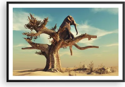 Produktbild von Gerahmtes Poster - Schwarzer Rahmen - Sitzen Elefant Baum - 91,5x61 cm - Wand Bild - Wanddeko - Wandbilder - Kunstposter - Wandposter - Bilderrahmen - Bilder - Kunstdruck - Wandbild - P2BAA91x61-4345