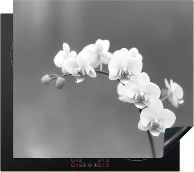 Produktbild von KitchenYeah© Herdabdeckplatte Orchidee - Blumen - Pflanze - Weiß - Lila , 57x51cm, Küche Deko, Glaskeramikkochfeld Herdabdeckung, Abdeckplatte fùr Kochfeld