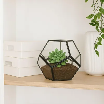 Image de Terrarium géométrique en verre - Design ouvert pour plantes d'intérieur
