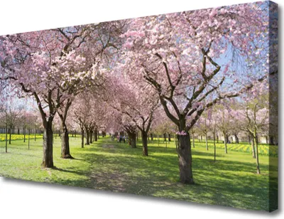 Produktbild von Tulup Leinwand-Bilder 100x50 Wandbild Canvas Kunstdruck Fußpfad Bäume Natur