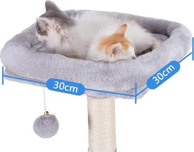 Image de Arbre à chat pour grands chats