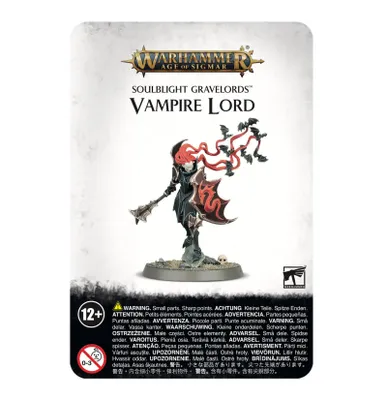 Produktbild von Games Workshop Age of Sigmar, Sammelfigur, Videospiel