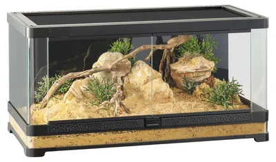 Immagine prodotto di Exo Terra Vista 90 - Terrario panoramico 90x45x45cm