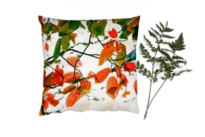 Produktbild von MuchoWow® Zierkissen Sofakissen Wohnzimmer Dekokissen 50x50 cm Herbst - Blätter - Landleben - Jahreszeiten - Komfort - Sofakissen