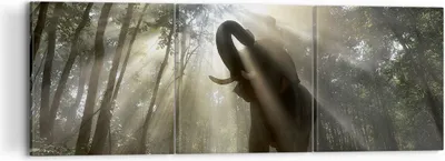 Produktbild von Bild auf Leinwand - Leinwandbild - Elefant Dschungel  - 120x40cm - Wand Bild - Wanddeko - Leinwanddruck - Bilder - Kunstdruck - Wanddekoration - Leinwand bilder - Wandkunst - CA120x40-3835