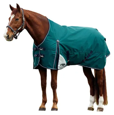 Image de Weatherbeeta Comfitec Plus Dynamic Turnout 0g - Taille 125 - Vert
