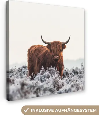 Produktbild von MuchoWow® - Leinwandbilder - Schottischer Hochländer - Tier - Natur - Weiß, Wandbild, Wanddeko Bilder Wohnzimmer, 90x90 cm