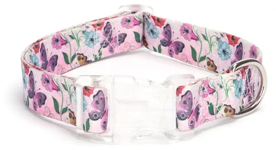 Produktbild von Verstellbares Hundehalsband für kleine und große Hunde