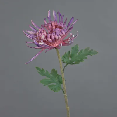 Produktbild von artplants.de Dekoblume Chrysantheme YASULI, lila, 70 cm - Künstliche Stielblume