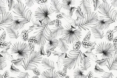 Produktbild von d-c-fix® Glasdekorfolie static Botanicals 67,5x150 cm