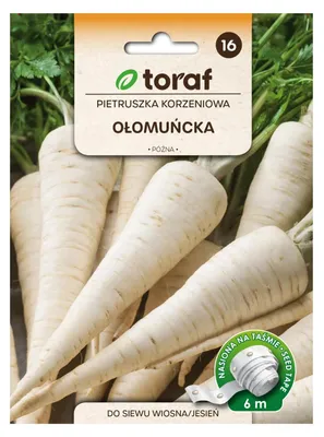 Obrázok produktu pre Koreňová petržlenová vňať OŁOMUŃCKA (pás 6 m)
