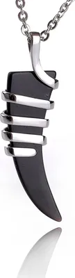 Produktbild von Karisma Edelstahl Anhänger Zahn mit Onyx Schwarz Uni mit Kette - 55cm